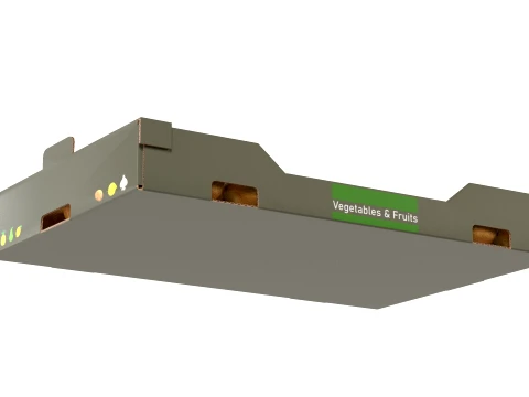 Kiwi Cardboard Fruit Box 3D Model