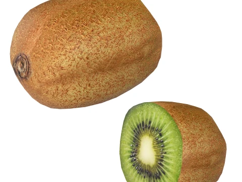Kiwi Fruit 3D Model