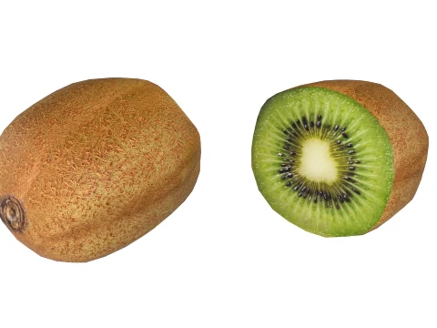 Kiwi Fruit 3D Model