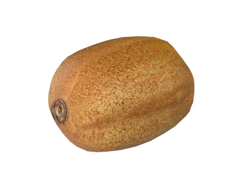 Kiwi Fruit 3D Model