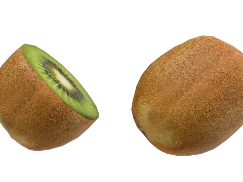 Kiwi Fruit 3D Model