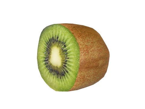 Kiwi Fruit 3D Model
