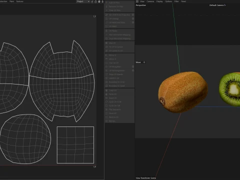 Kiwi Fruit 3D Model