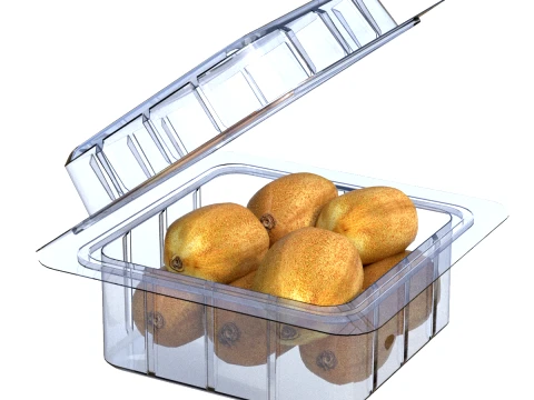 Kiwi Fruit Box Plastic Transparent 3D Model