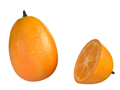 Kumquat Fruit 3D Model