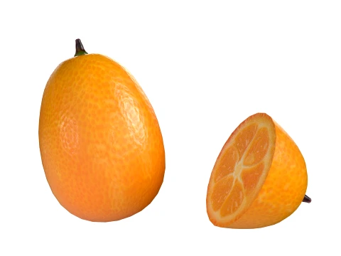 Kumquat Fruit 3D Model