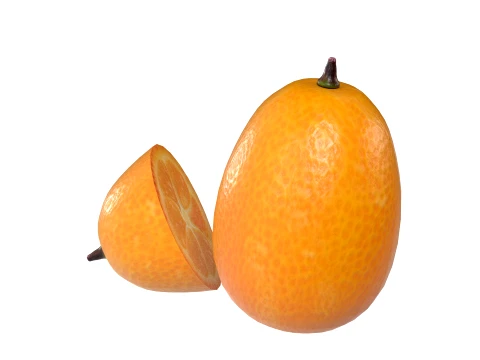 Kumquat Fruit 3D Model