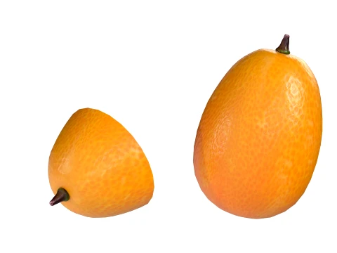 Kumquat Fruit 3D Model