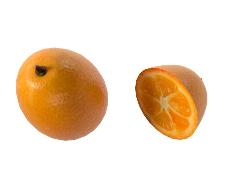 Kumquat Fruit 3D Model