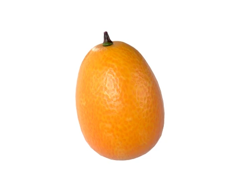 Kumquat Fruit 3D Model