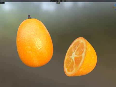 Kumquat Fruit 3D Model