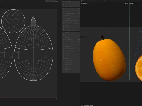 Kumquat Fruit 3D Model