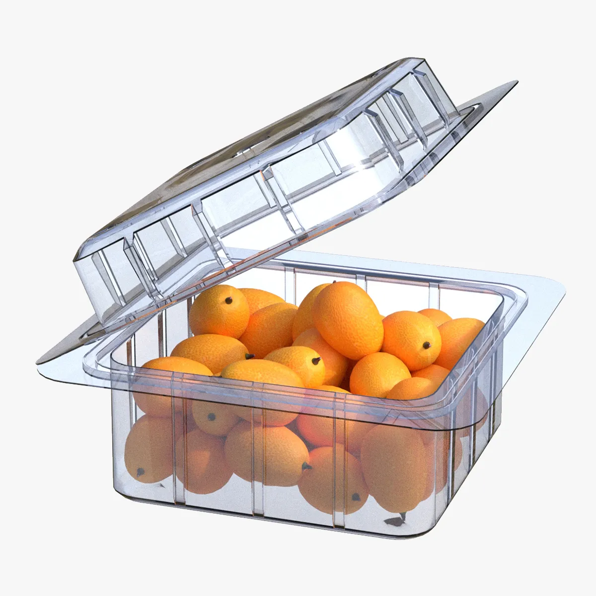 Kumquat Fruit Box Plastic Transparent 3D Model .c4d .max .obj .3ds .fbx .stl .blend 