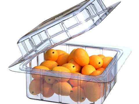 Kumquat Fruit Box Plastic Transparent 3D Model