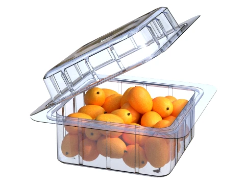 Kumquat Fruit Box Plastic Transparent 3D Model