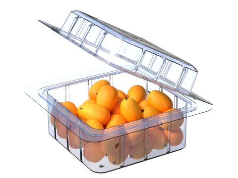 Kumquat Fruit Box Plastic Transparent 3D Model