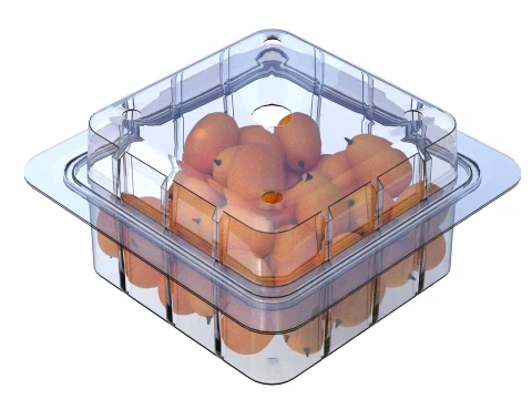 Kumquat Fruit Box Plastic Transparent 3D Model