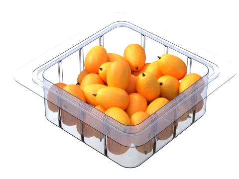 Kumquat Fruit Box Plastic Transparent 3D Model