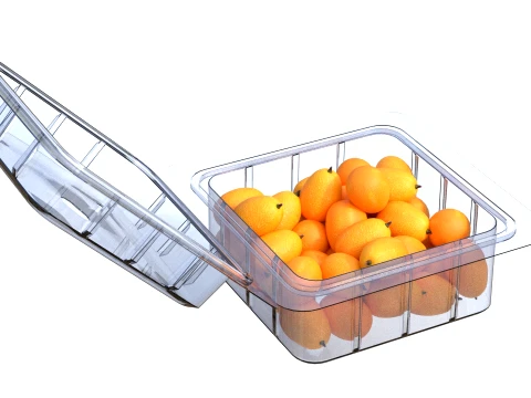 Kumquat Fruit Box Plastic Transparent 3D Model