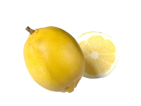 Lemon Fruit 3D Model