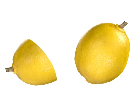 Lemon Fruit 3D Model