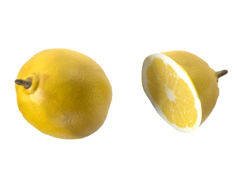 Lemon Fruit 3D Model