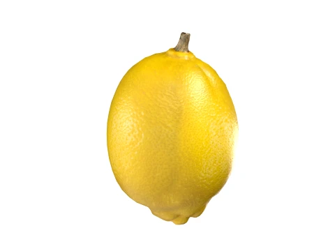 Lemon Fruit 3D Model