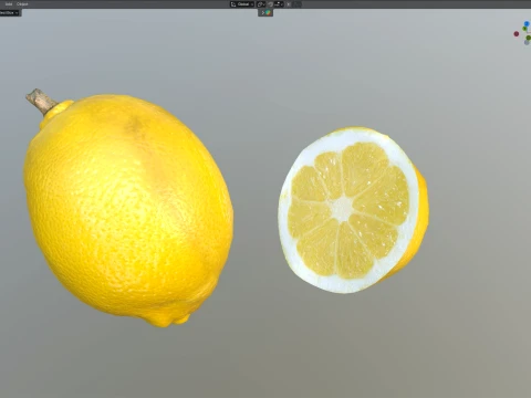 Lemon Fruit 3D Model