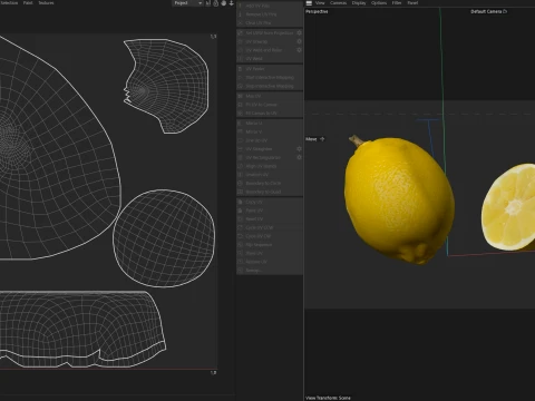 Lemon Fruit 3D Model