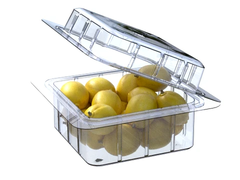 Lemon Fruit Box Plastic Transparent 3D Model