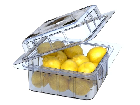 Lemon Fruit Box Plastic Transparent 3D Model