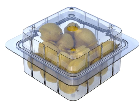 Lemon Fruit Box Plastic Transparent 3D Model