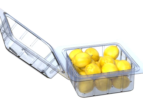Lemon Fruit Box Plastic Transparent 3D Model