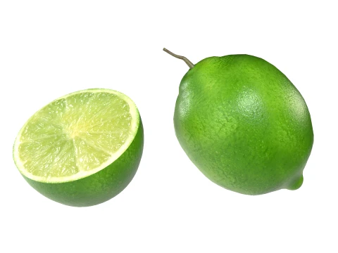 Lime Fruit 3D Model
