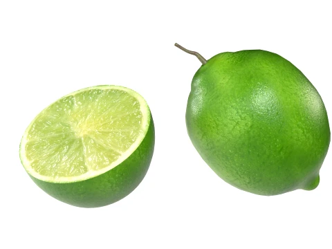 Lime Fruit 3D Model