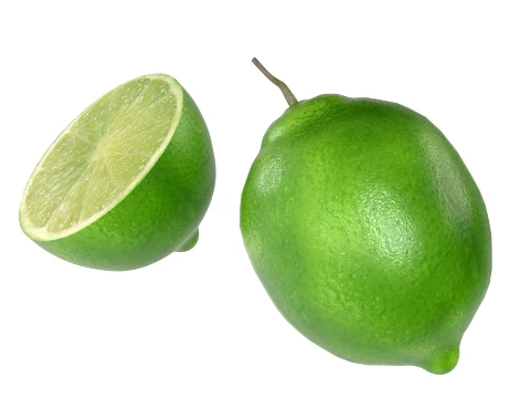 Lime Fruit 3D Model