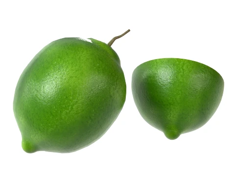 Lime Fruit 3D Model