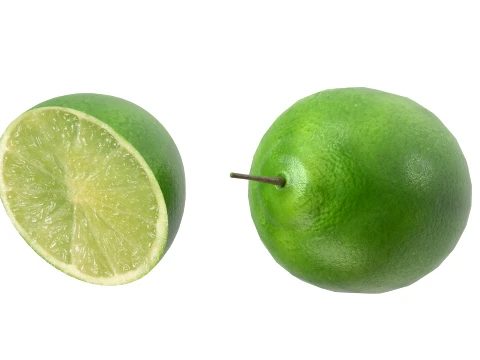 Lime Fruit 3D Model