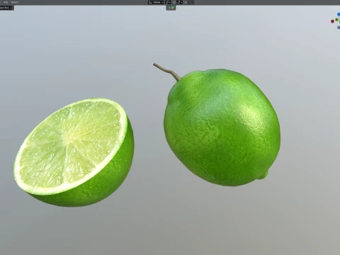 Lime Fruit 3D Model