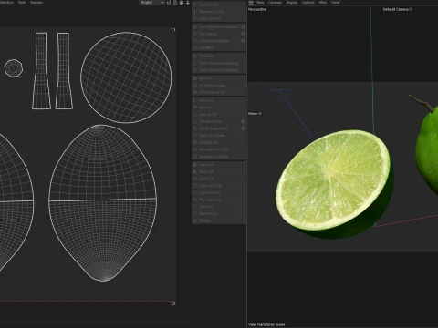 Lime Fruit 3D Model