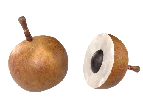 Longan Fruit 3D Model