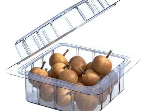 Longan Fruit Box Plastic Transparent 3D Model