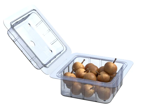 Longan Fruit Box Plastic Transparent 3D Model