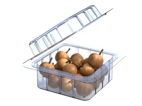 Longan Fruit Box Plastic Transparent 3D Model