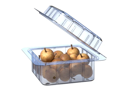 Longan Fruit Box Plastic Transparent 3D Model