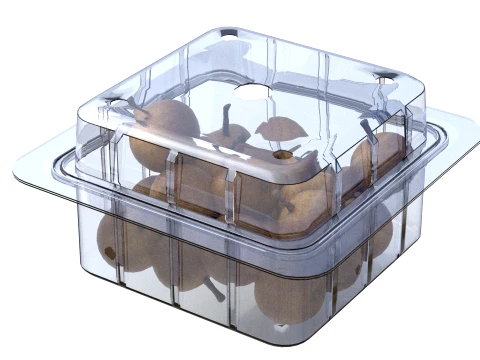 Longan Fruit Box Plastic Transparent 3D Model