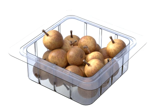 Longan Fruit Box Plastic Transparent 3D Model