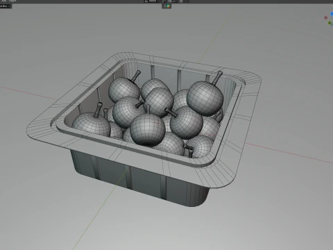 Longan Fruit Box Plastic Transparent 3D Model