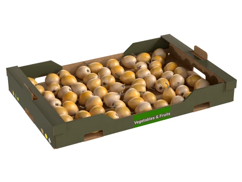 Loquat Cardboard Fruit Box 3D Model