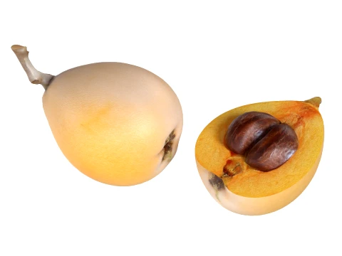 Loquat Fruit 3D Model